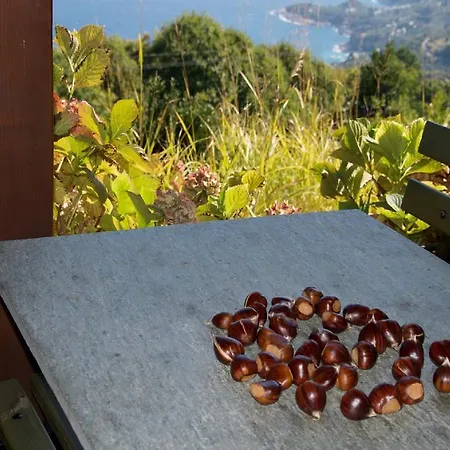 Aglaini Áyios Dhimítrios