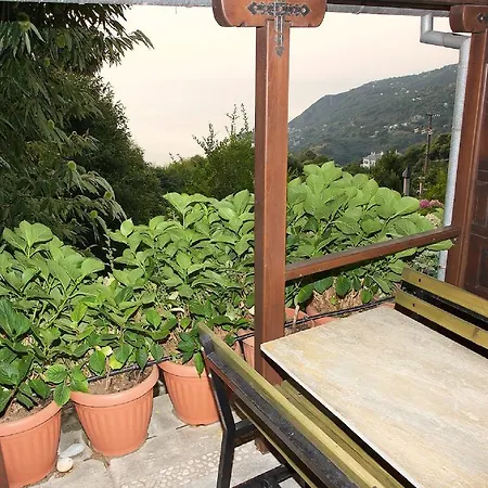Aglaini 3*